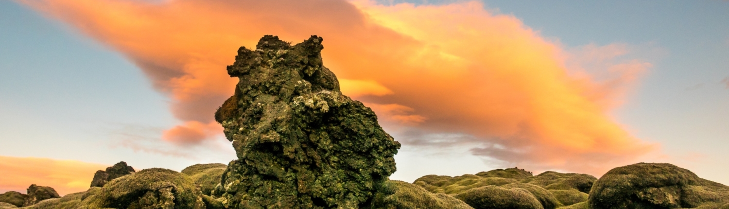 1920_kai-gradert-99361-unsplash