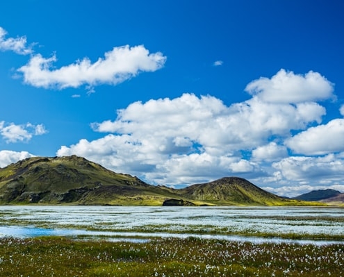 Was ist klimapositiv?